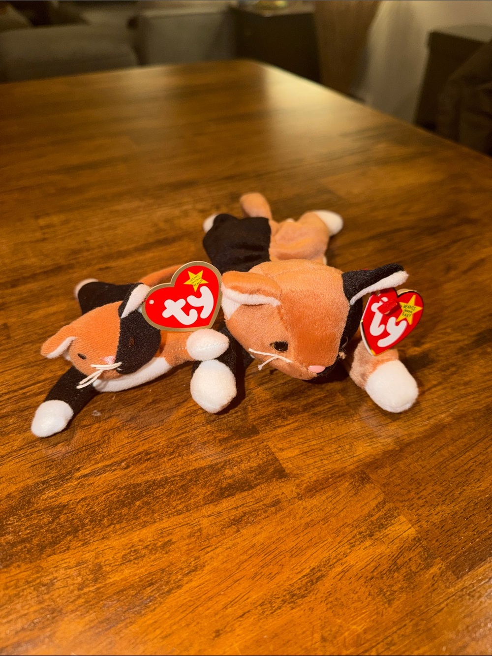 Ty Calico Cat Beanie Babies Plush Pair